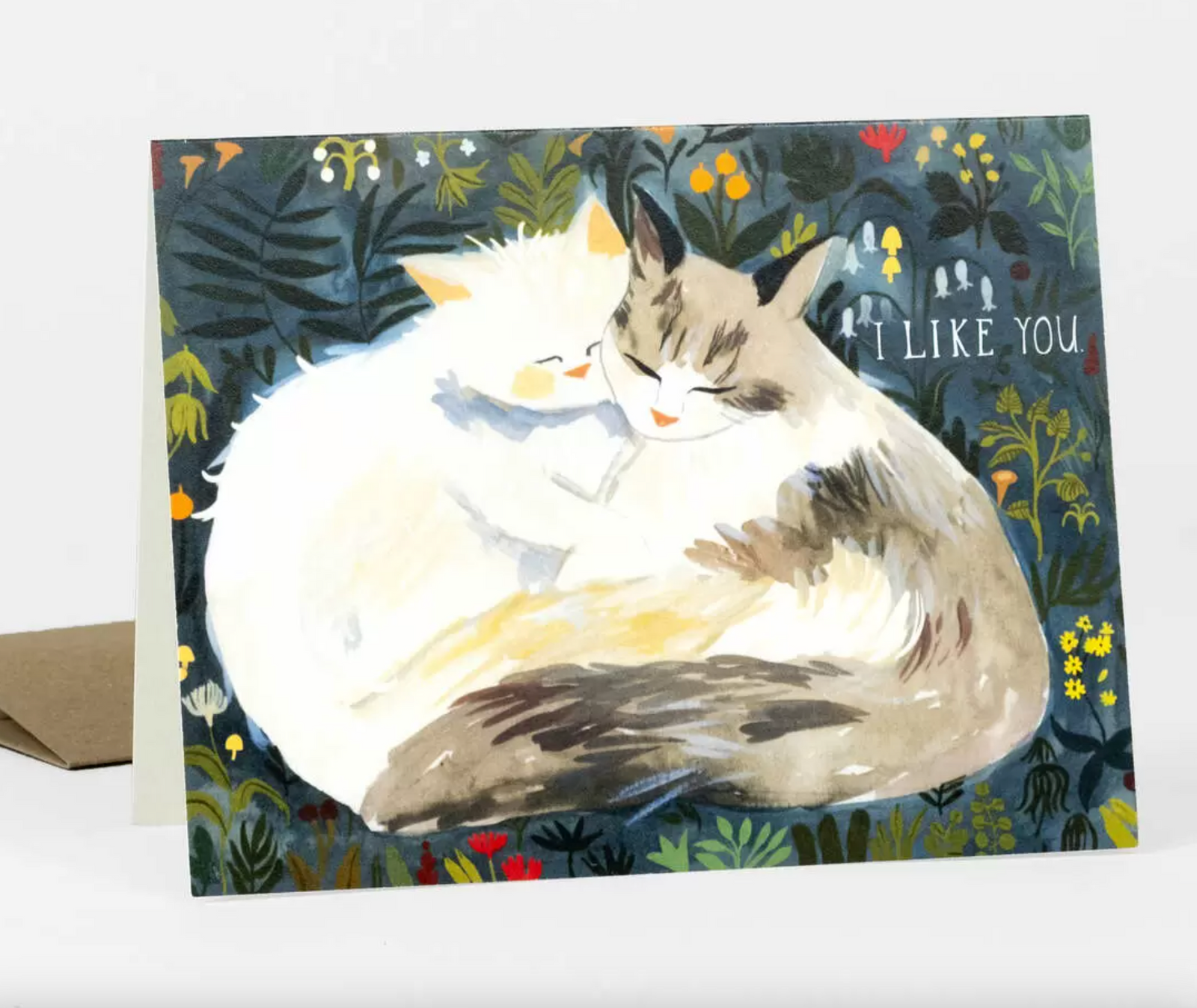 Card - I Like You (Buy Olympia / Esme Shapiro)