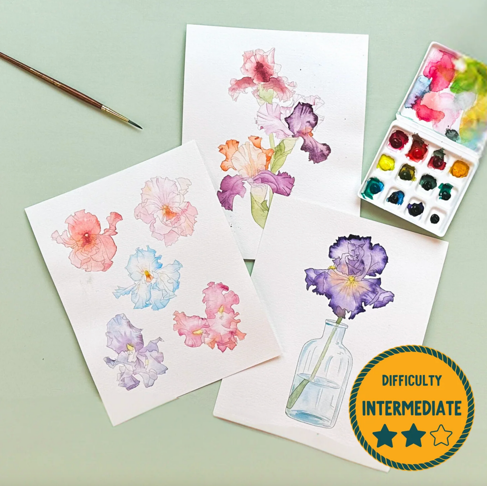 DIY Paint Kit - Large - Floral Iris (Splatter & Bloom) Watercolor Kit Complete Set Intermediate