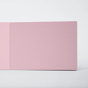 Notebook (3 Pack) - Pluto No. 2 - Blue & Pink