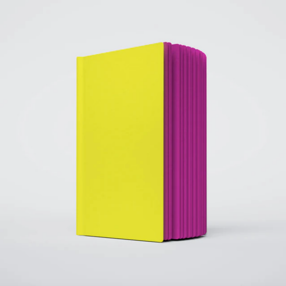Notebook (3 Pack) - Razzle Dazzle No. 1 - Yellow & Purple