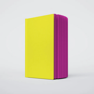 Notebook (3 Pack) - Razzle Dazzle No. 1 - Yellow & Purple