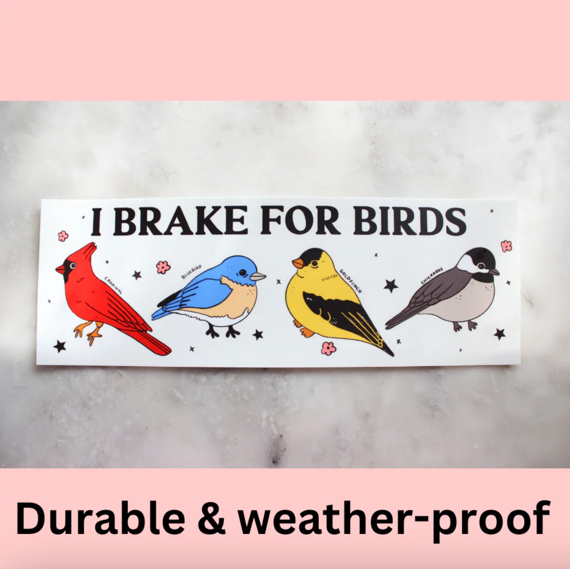 Bumper Sticker - I Brake For Birds