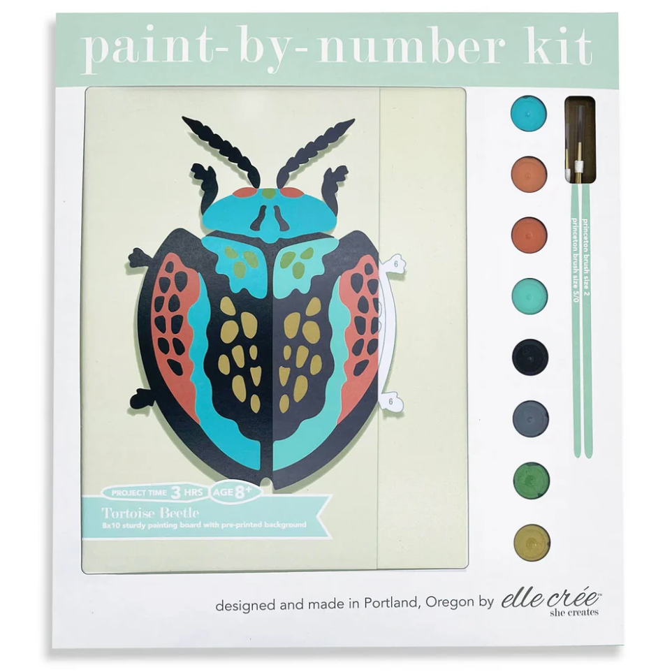 DIY - Kids' Mini Paint By Number Kit - Tortoise Beetle