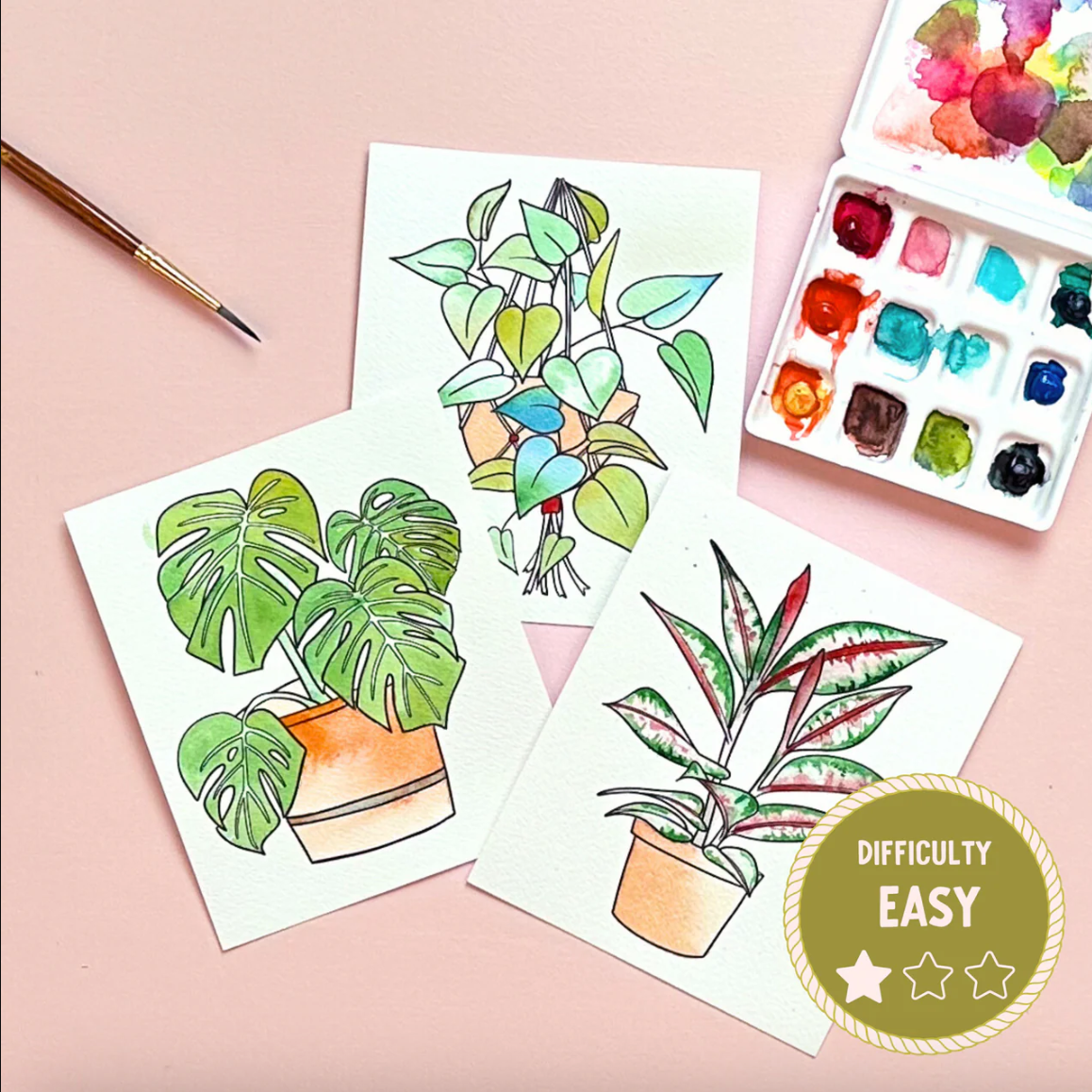DIY - Watercolor Kit - Potted Plants (Mini)