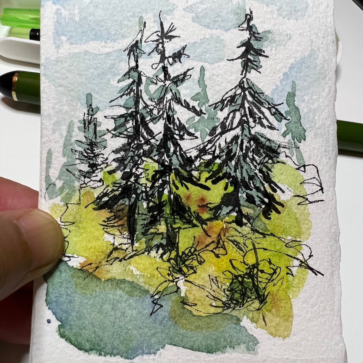 Example drawing of evergreen trees.