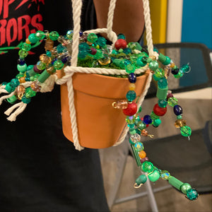 Colorful beaded plant in a terracotta pot with a blurred background.