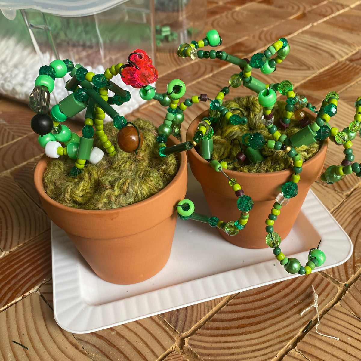 Two small potted plants with decorative green beaded branches on a wooden surface.