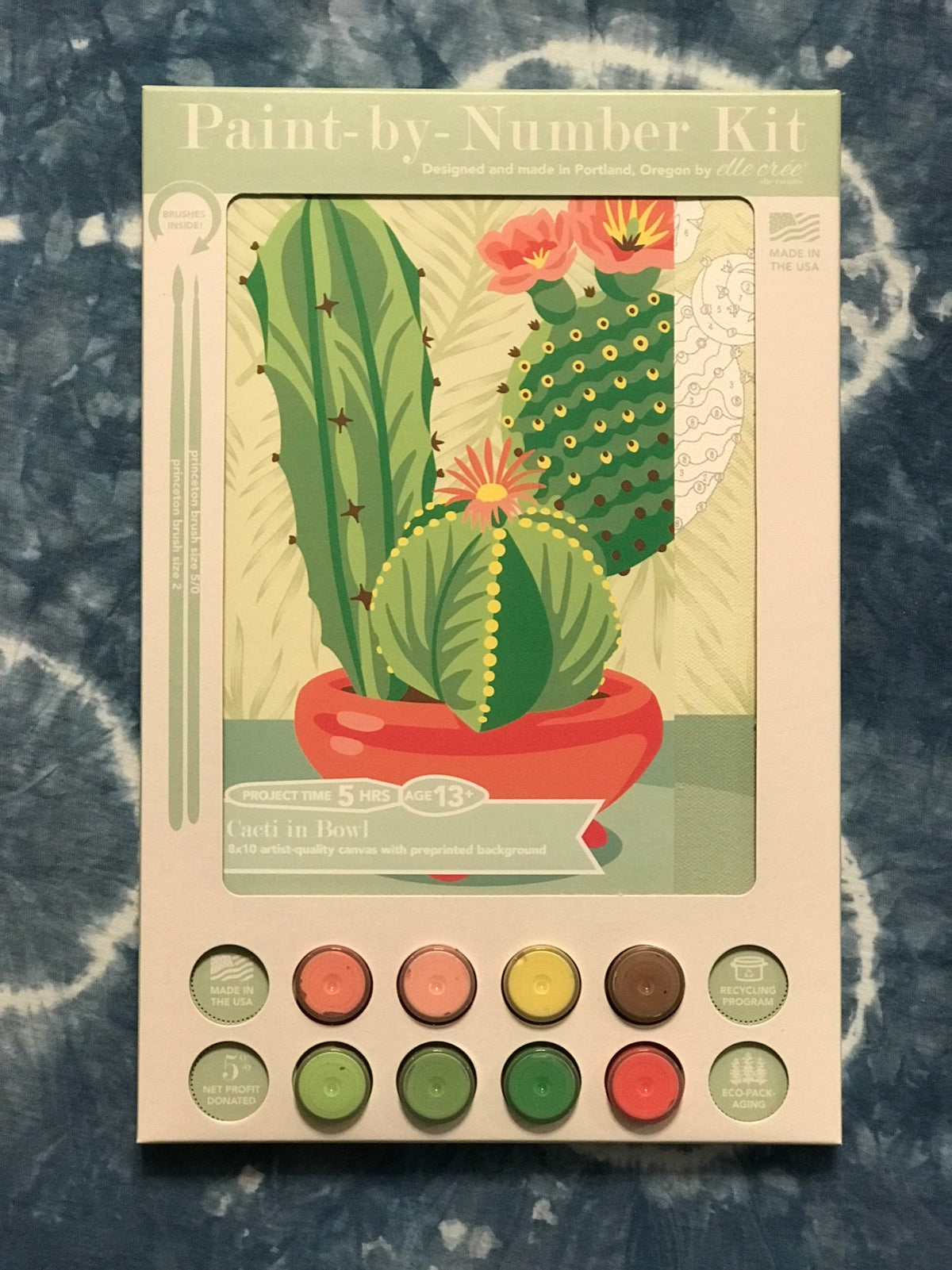 DIY - Paint By Number Kit - Cacti Bowl