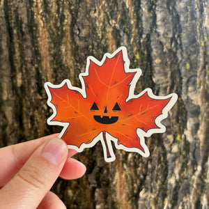A maple leaf that has a face like a jack-o-lantern that is also a sticker. 