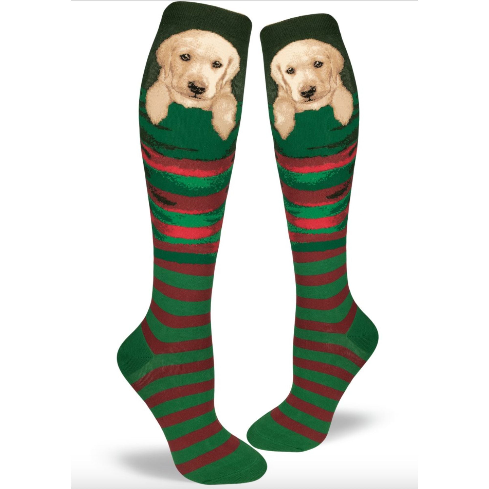 SALE Sock - Knee-High: Stocking Pupper - Spruce (Mod Socks)