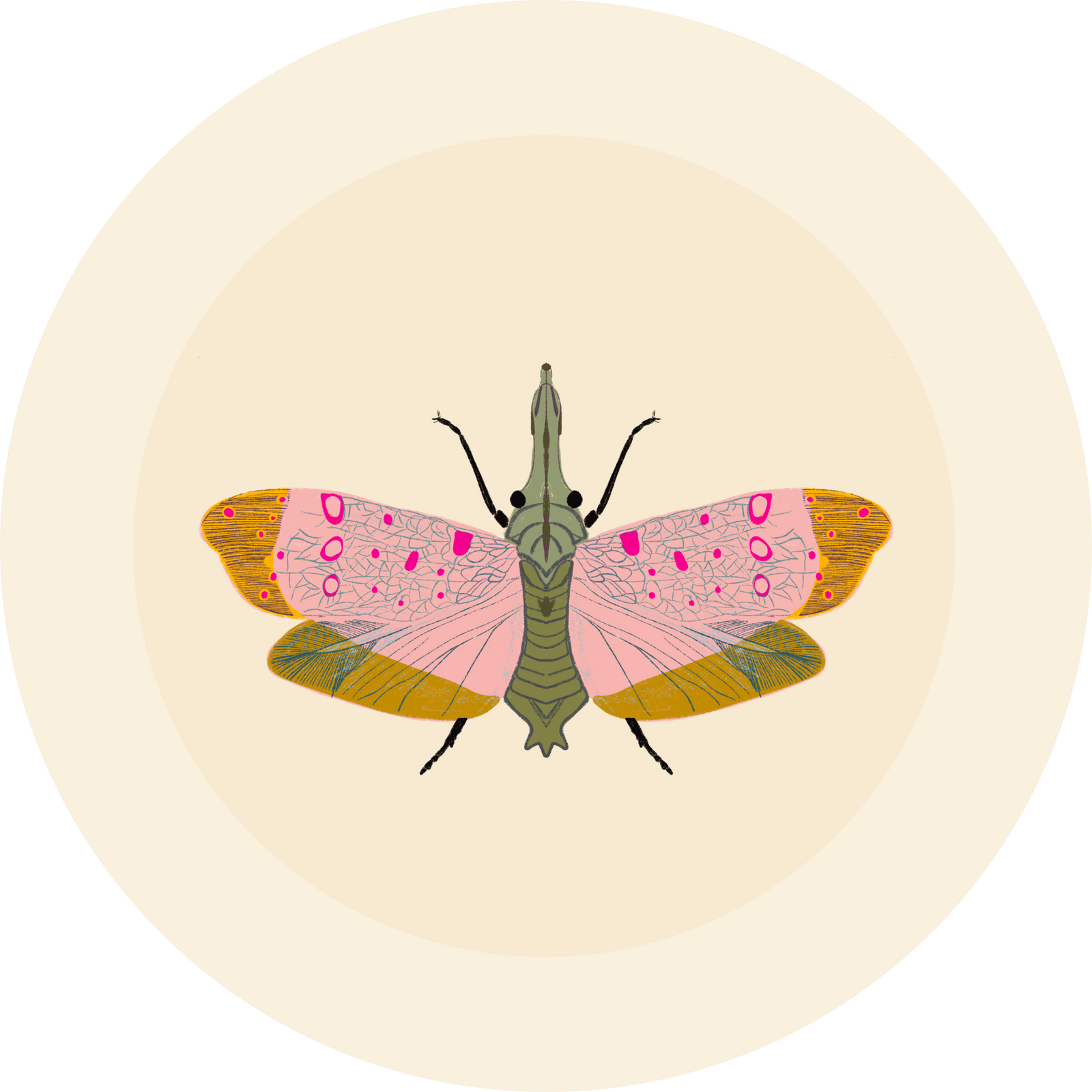 Moth illustration - designed by Ugly Baby - printed on cream colored fabric. 