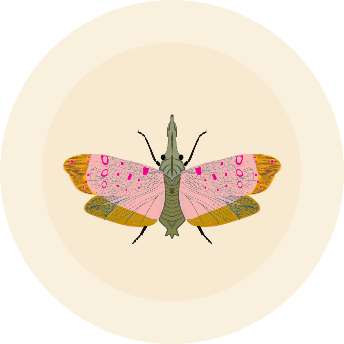 Moth illustration - designed by Ugly Baby - printed on cream colored fabric. 