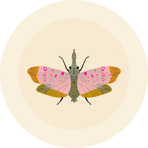 Moth illustration - designed by Ugly Baby - printed on cream colored fabric. 