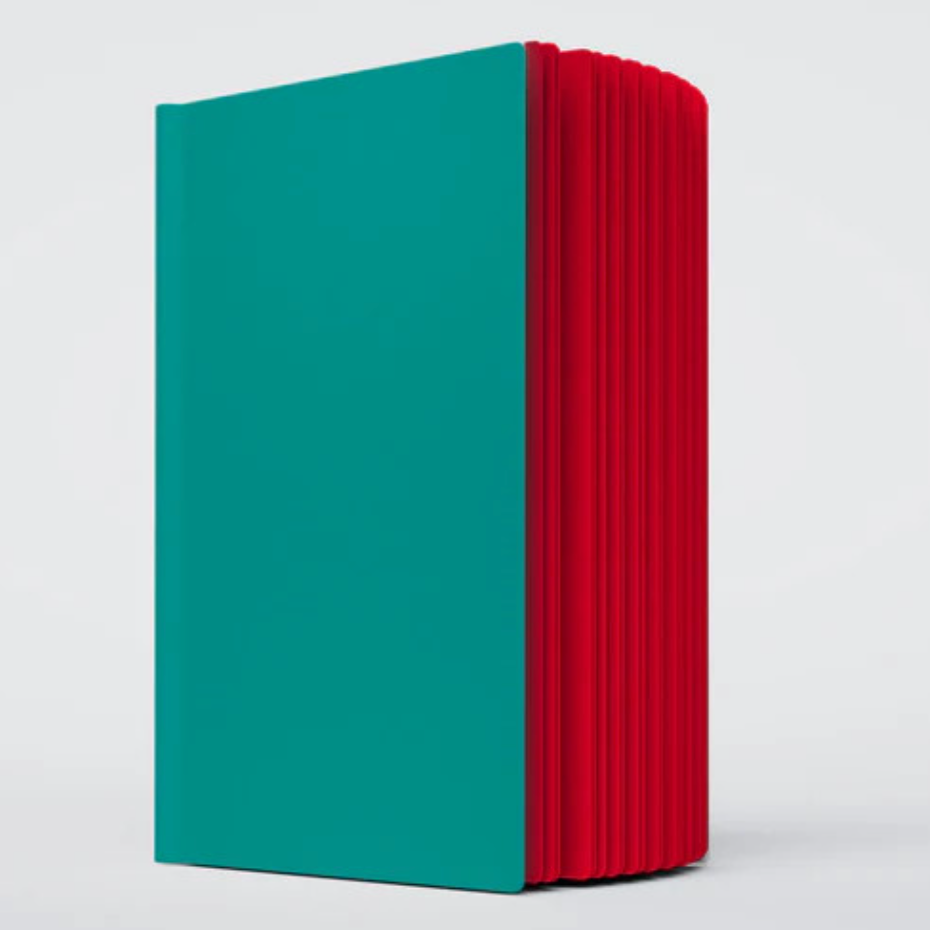 A close up photo of the Poppy ugly book sketchbook. The cover is bright teal and the pages are bright red colored.