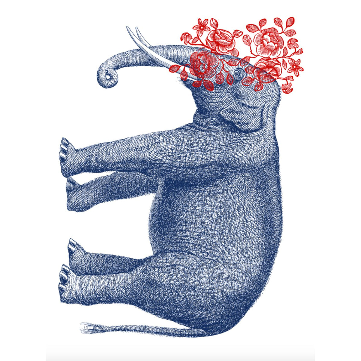 Darlene Hoodie - Elephant - Blue Lagoon (Supermaggie)