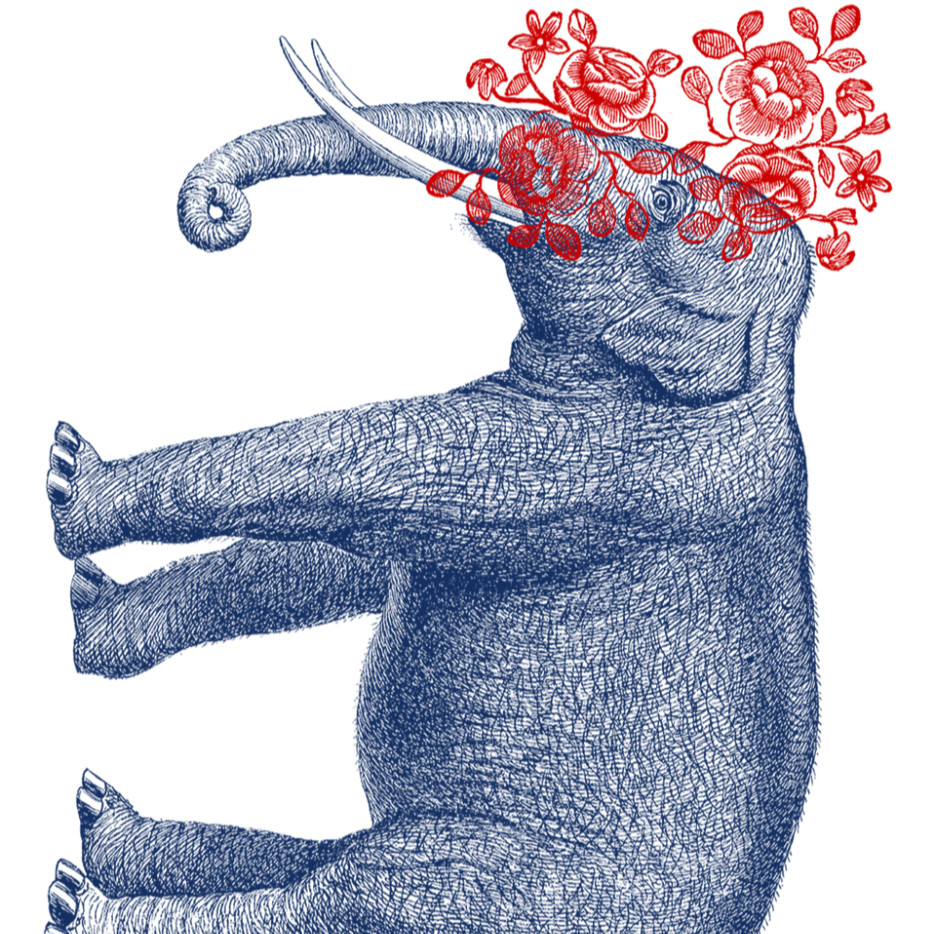 Illustration of an elephant with red flowers on its head against a white background