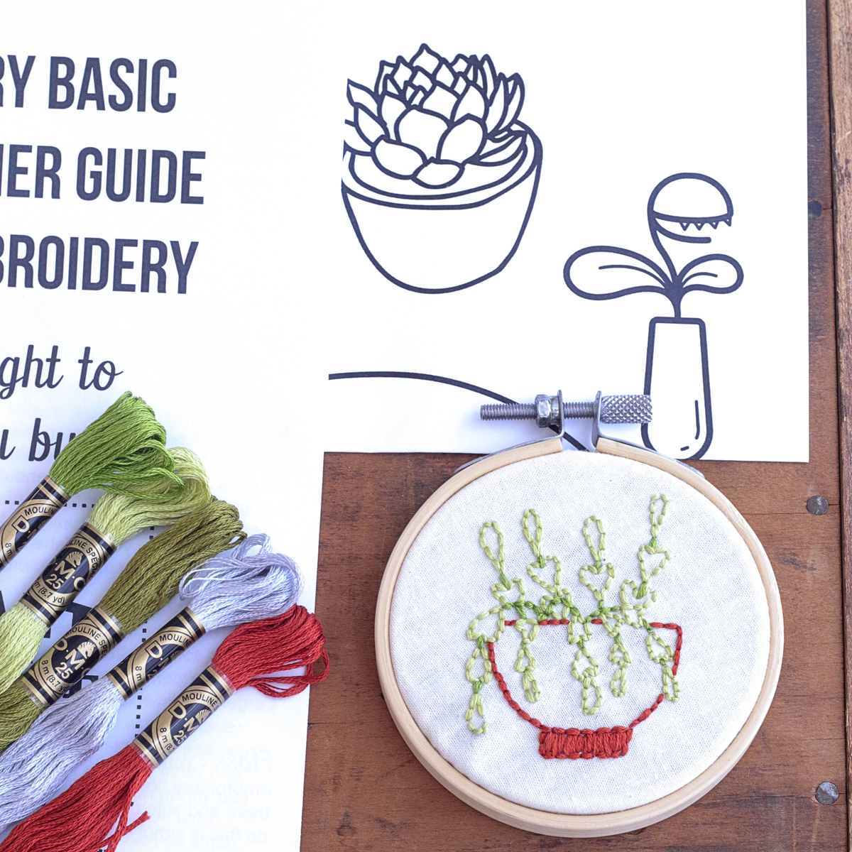 Embroidery hoop with succulent design, embroidery threads, and a plant illustration on a white background.
