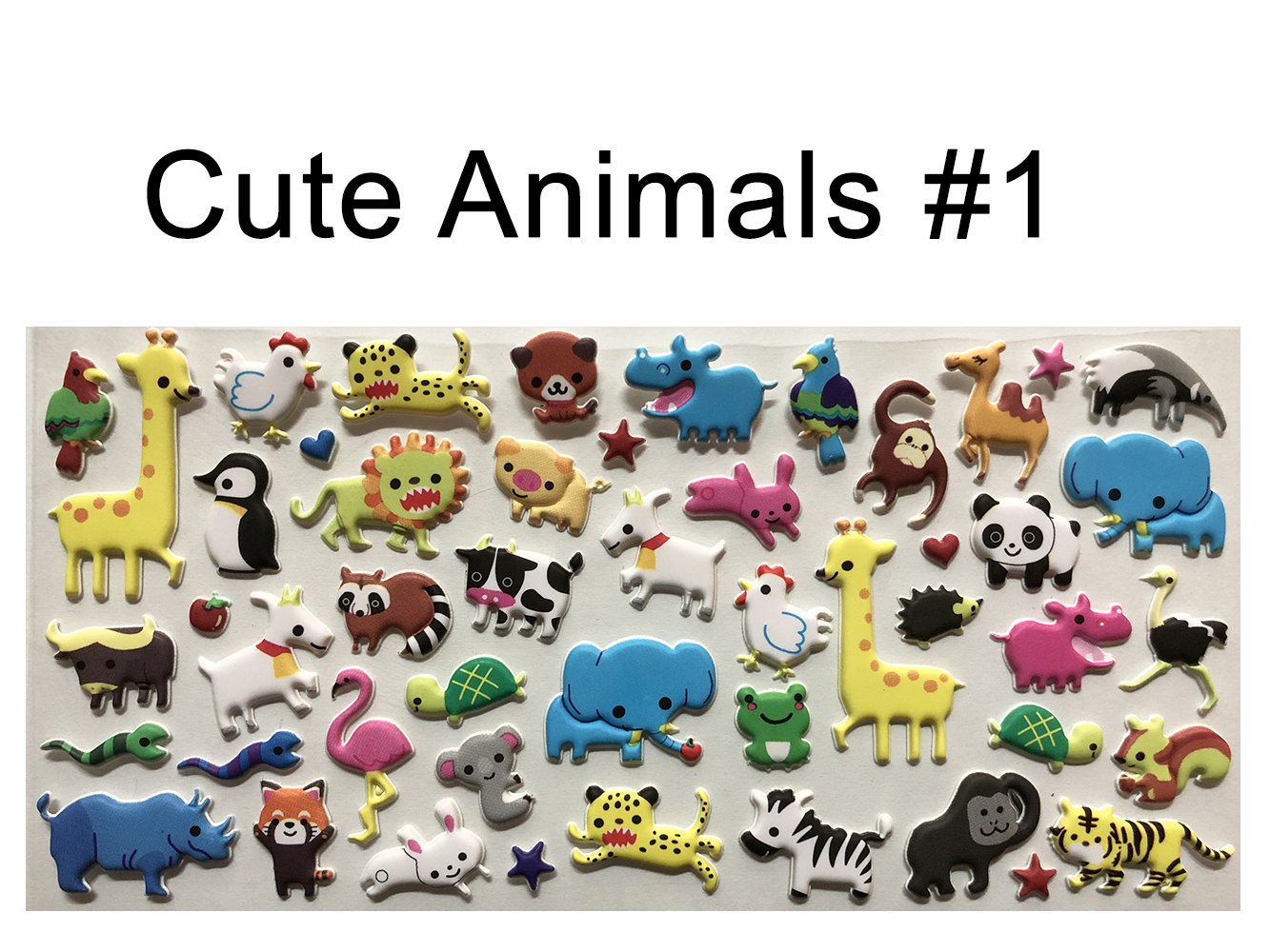 Cute Animals