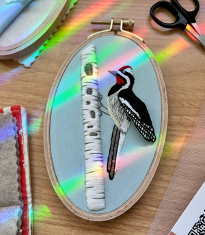 Completed sample for Busy Woodpecker Embroidery Kit by M Creative J. A rainbow shines on the embroidered piece and the supplies surrounding it. 
