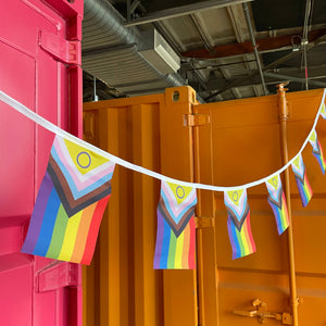 Colorful rainbow  progress pride flags hanging between two shipping containers.