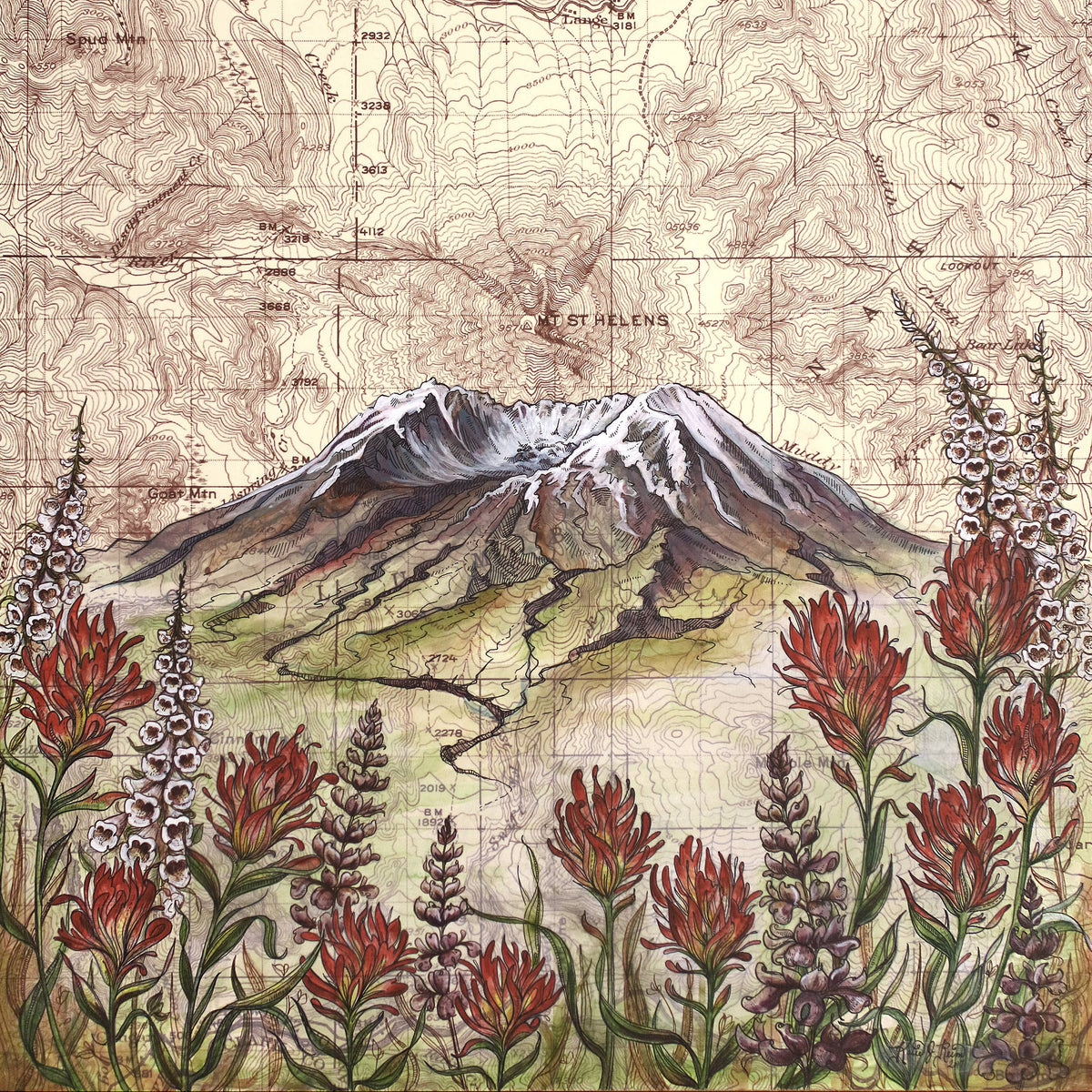 Map with a mountain illustration and wildflowers on a vintage map background. 