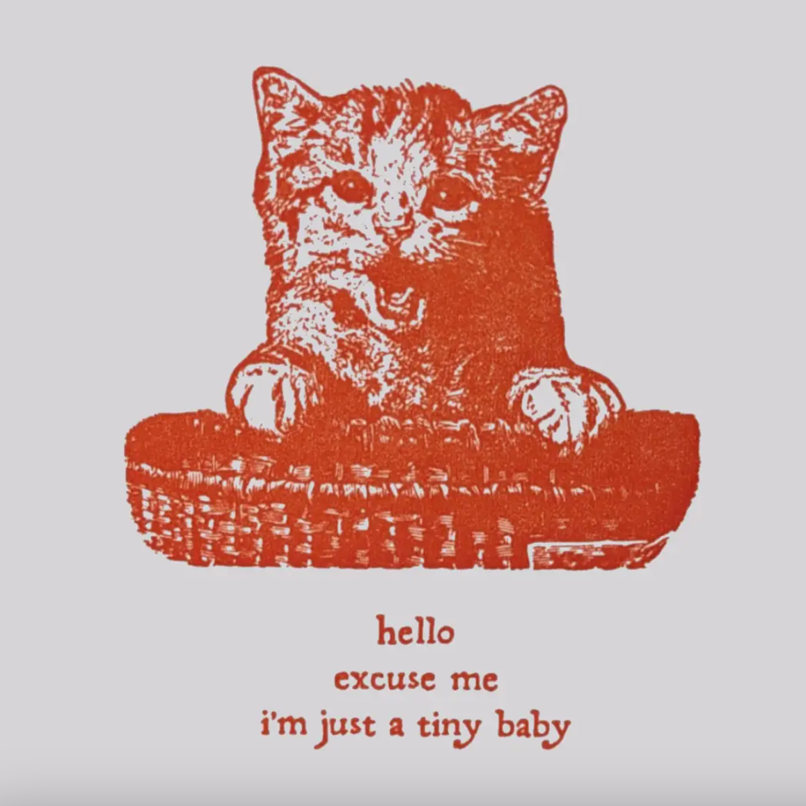 Red cat illustration on a white background with text 'hello excuse me i'm just a tiny baby'.