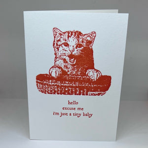 White letterpressed greeting card with red cat design and text that says "hello. excuse me. i'm just a tiny baby." on a white background