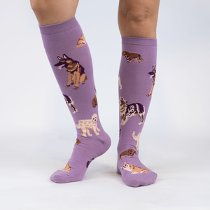 SALE Sock - Knee-High: Stay Pawsitive