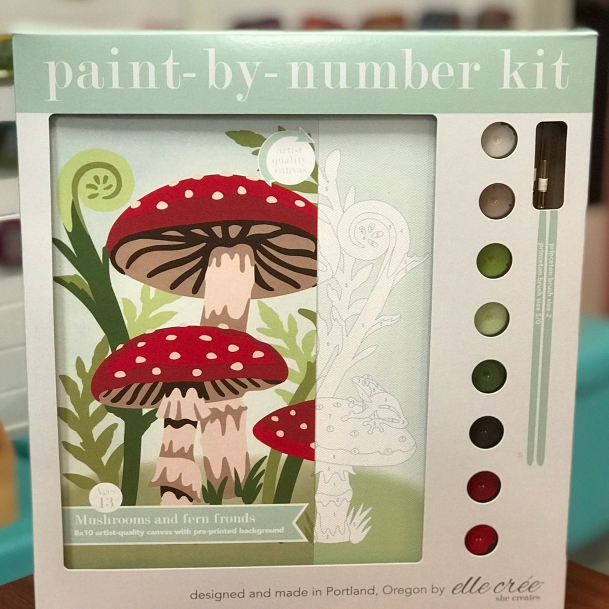 DIY - Paint By Number Kit - Mushrooms