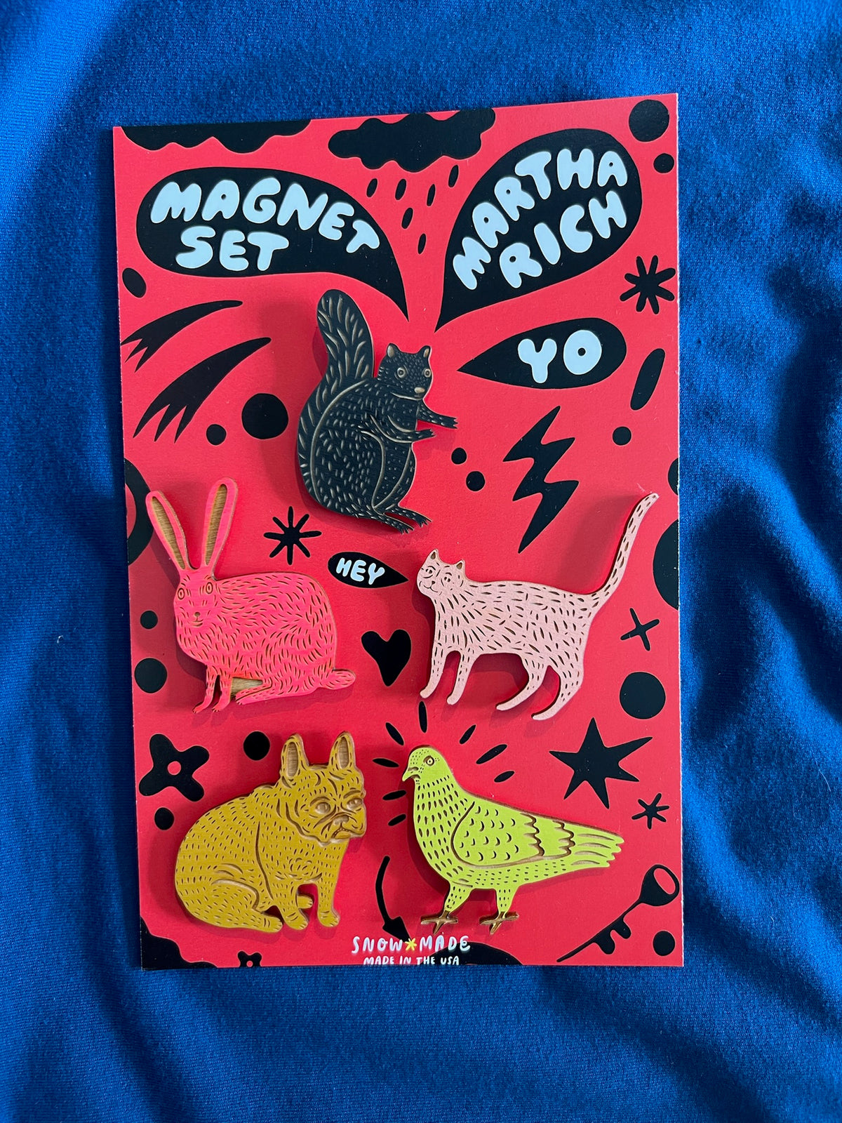 Magnet set packaging with colorful animals on a red background
