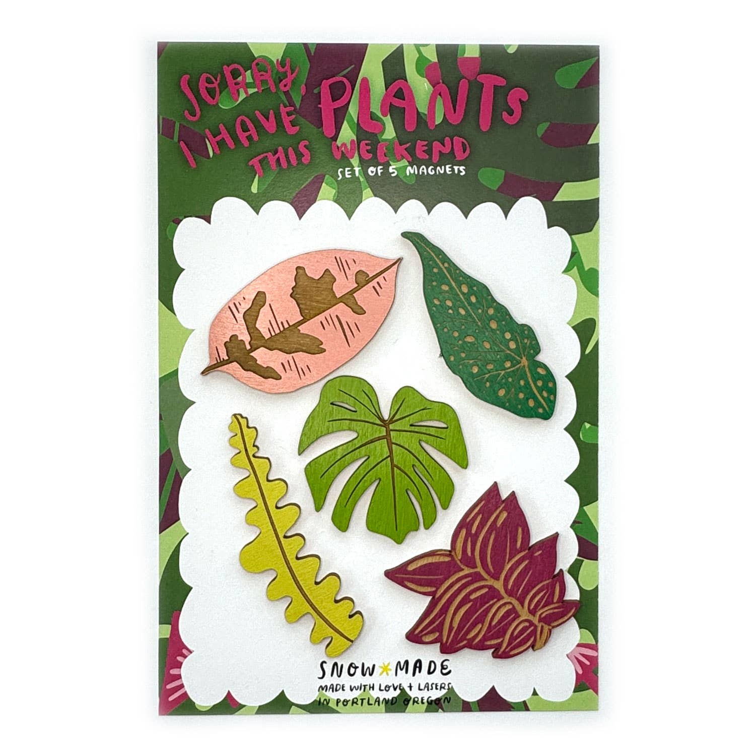 Packaging of plant-themed magnets with colorful leaf designs on a green background.