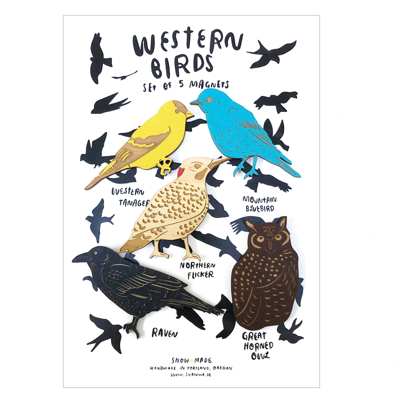 Set of 5 colorful bird magnets with labels on a white background