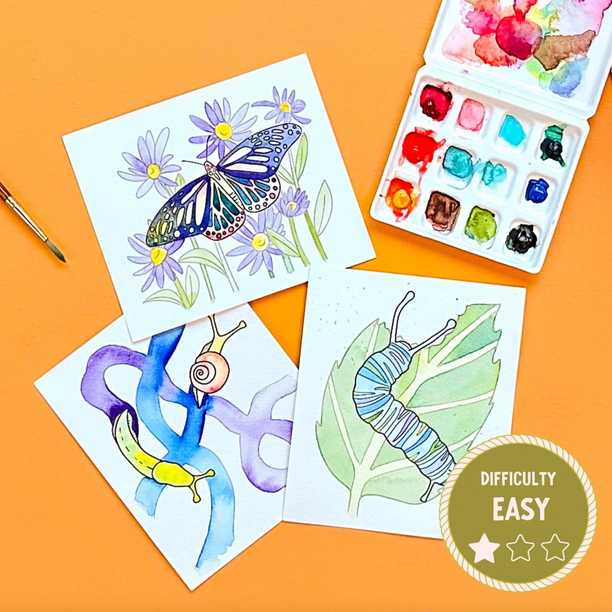 Coloring book pages with butterfly, snail, and caterpillar illustrations and watercolors on an orange background.
