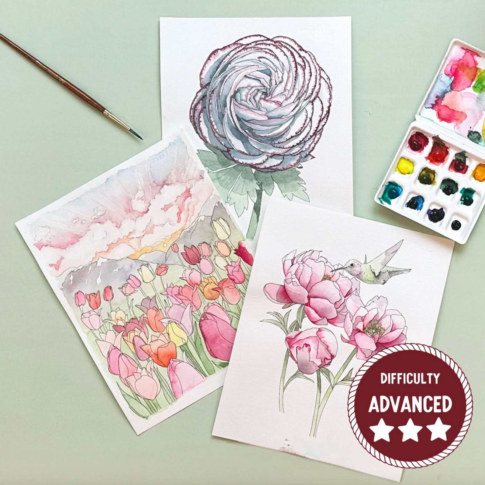Floral illustrations on paper with watercolor set and brush on light green background