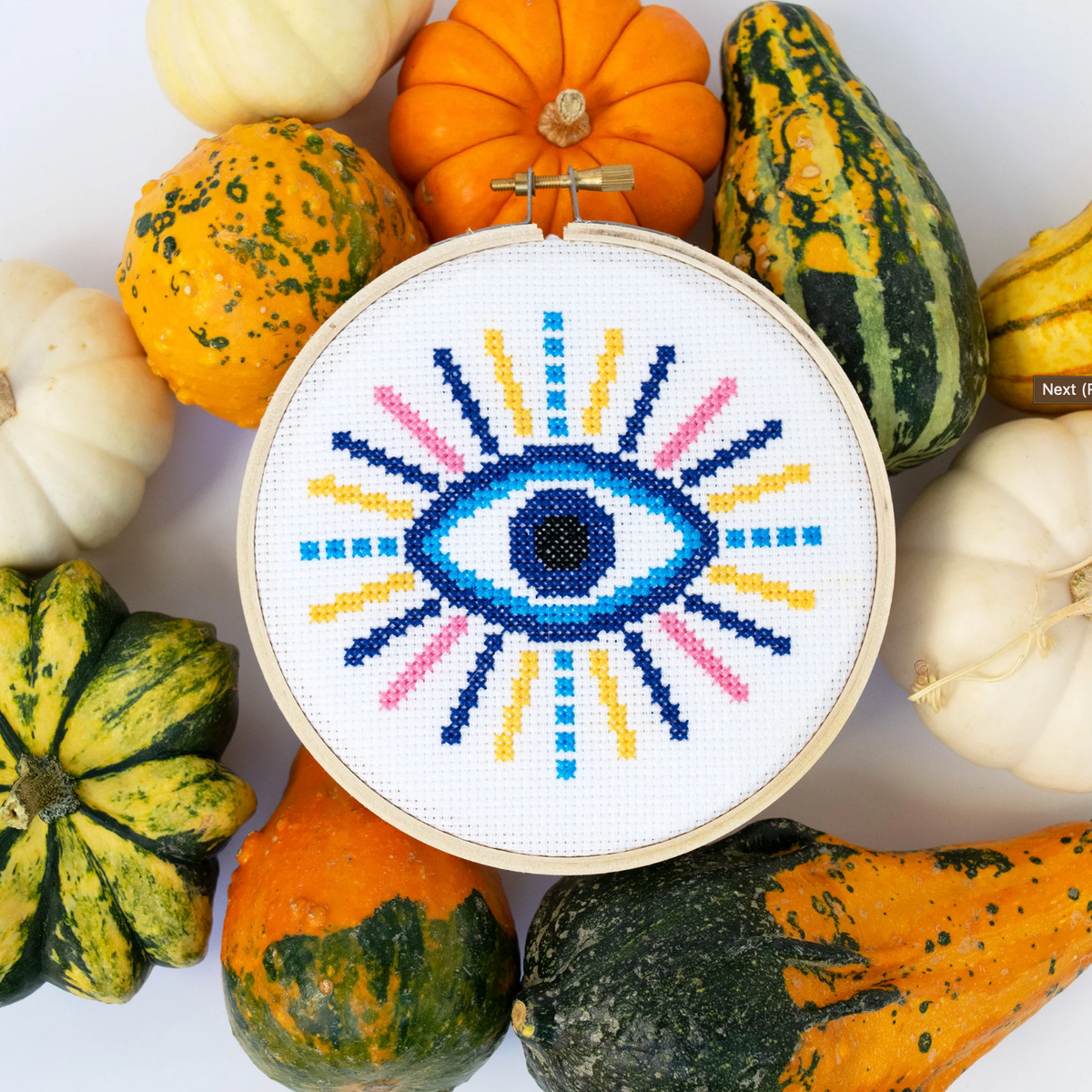 Embroidery hoop with colorful eye design surrounded by pumpkins and gourds.
