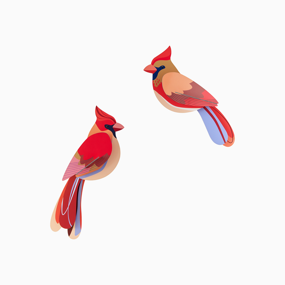 Two cardinals in hues of red, peach, and blue against a white background 