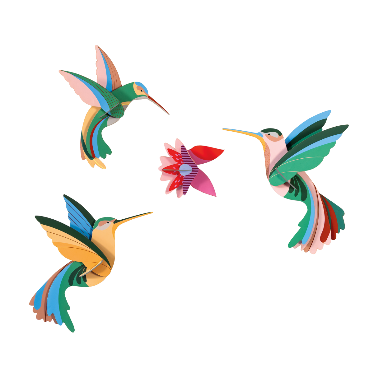 Grouping of three hummingbirds surrounding a red, purple, and pink flower. 