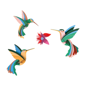 Grouping of three hummingbirds surrounding a red, purple, and pink flower. 