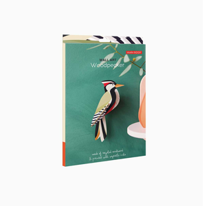 Packaging for a Woodpecker Wall Art paper craft kit with Studio Roof branding. 