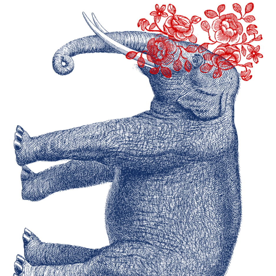 Illustration of an elephant with red floral decorations on a white background. 