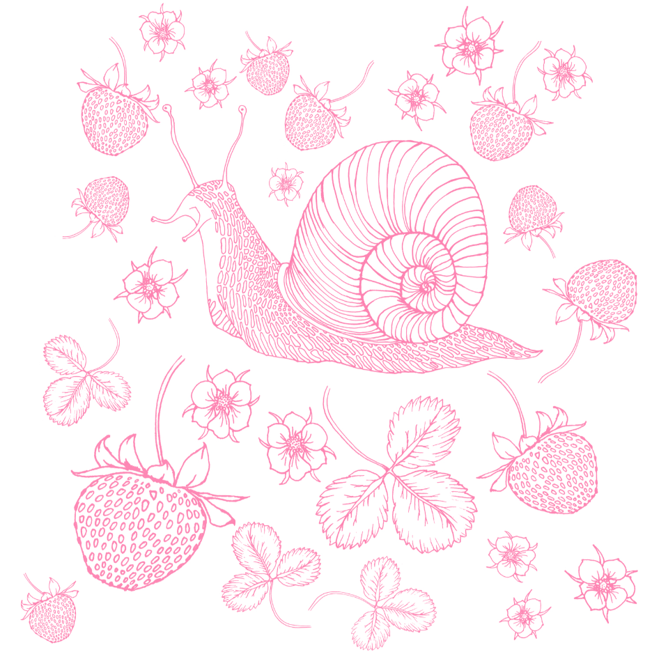 Pink snail and strawberry pattern on a white background.