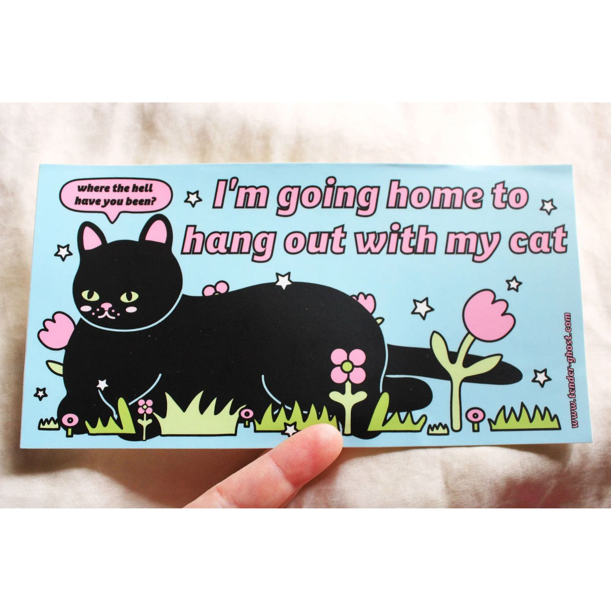 Bumper sticker with cartoon black cat and text that says "I'm going home to hang out with my cat" on a light blue background held by a hand.
