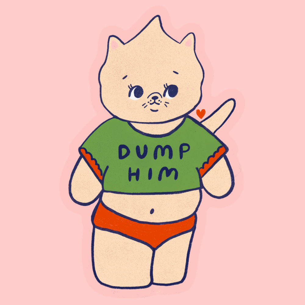 Cartoon cat wearing a green shirt with 'Dump Him' text on a pink background