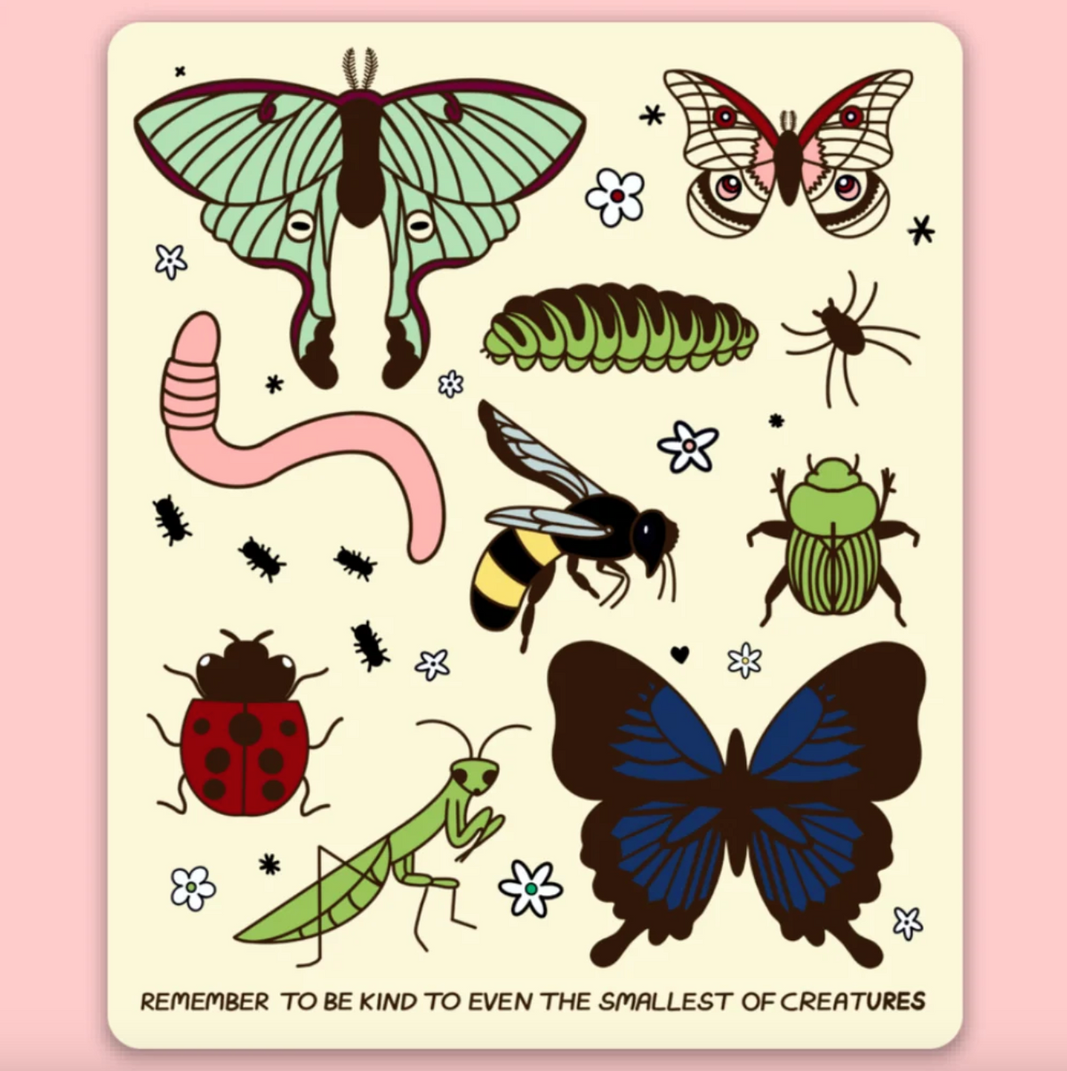 A square cream-colored sticker featuring various illustrated insects and small flowers, including a large green moth, butterfly, beetle, spider, worm, caterpillar, bumblebee, ladybug, praying mantis, and blue-black butterfly. At the bottom there is text that reads 'REMEMBER TO BE KIND TO EVEN THE SMALLEST OF CREATURES'.