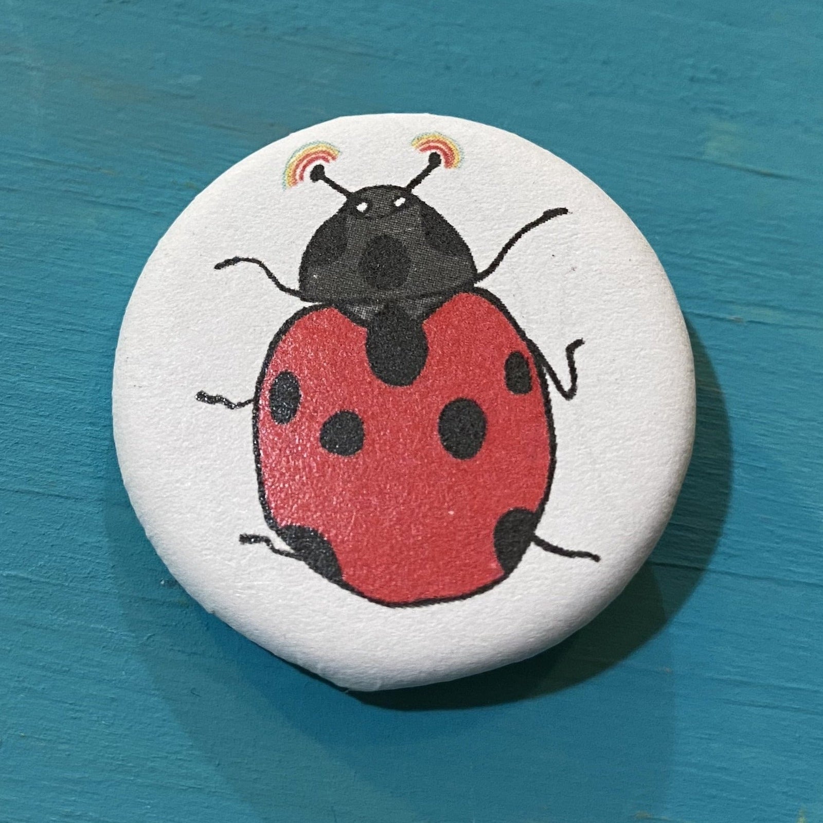 Button with a red ladybug design on a blue background