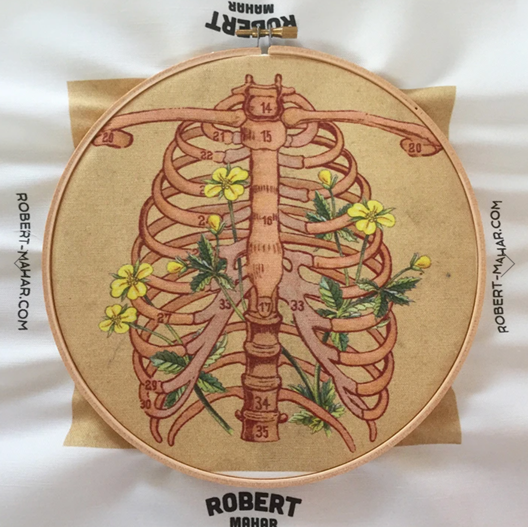 Embroidery Sampler - Rib Cage