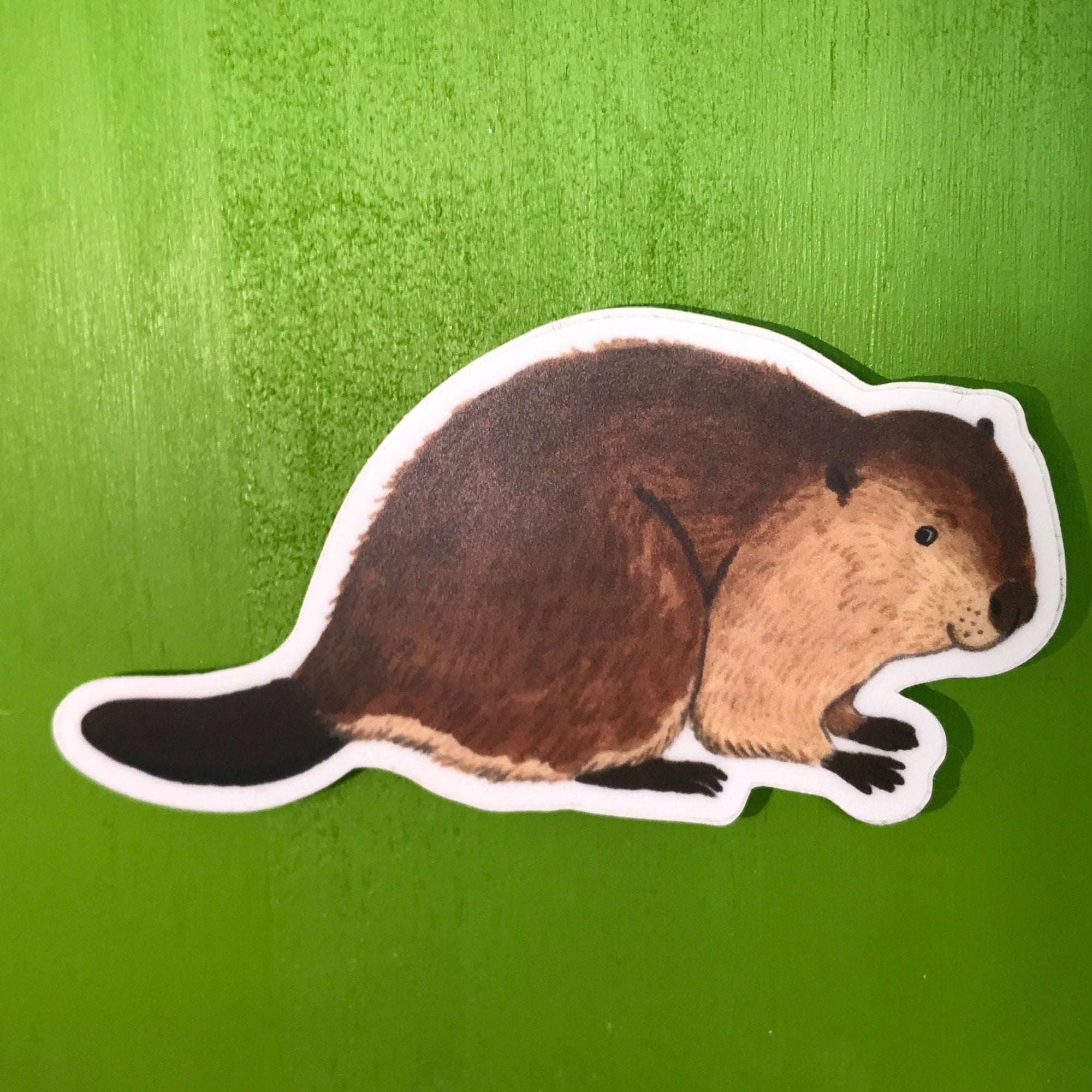 Sticker - Beaver