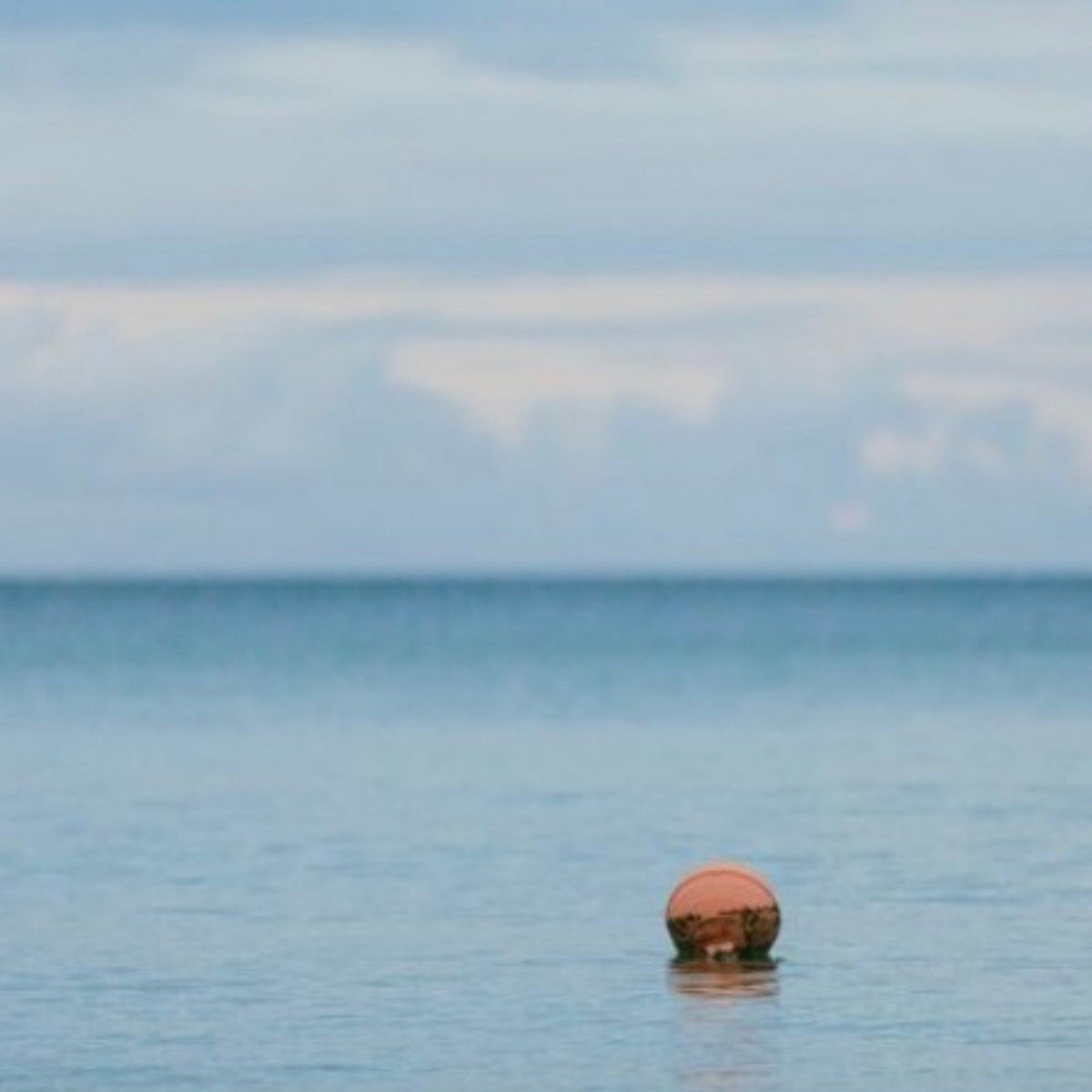 Buoy Hoop Earrings - handmade hammered elongated hexagon hoop earrings in 14k gold - Foamy Wader