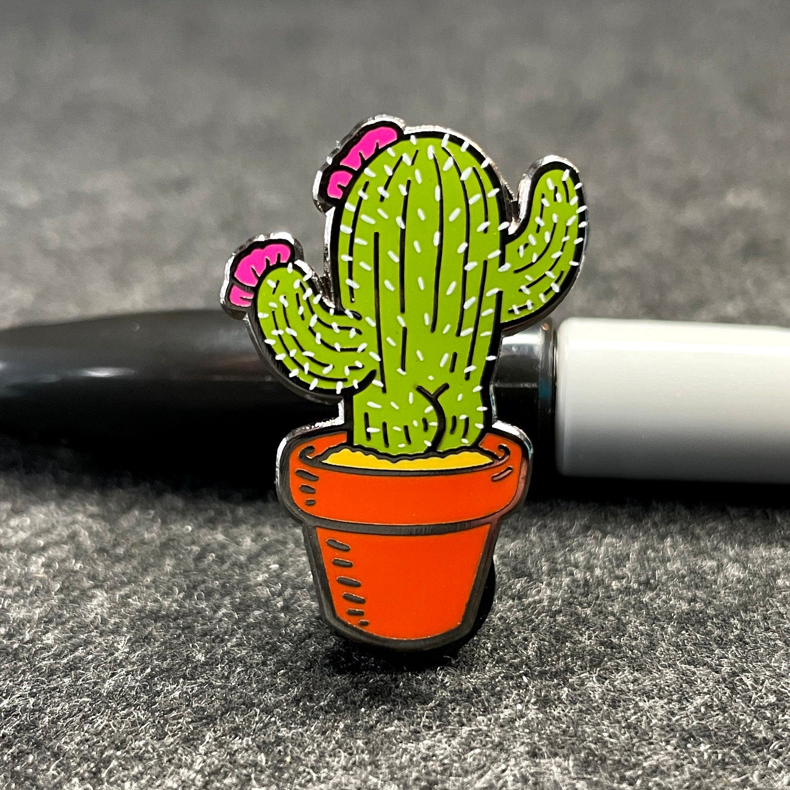 Pin on cactus