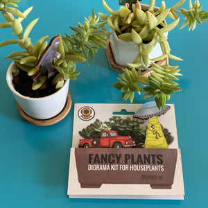 Fancy Plants - UFO